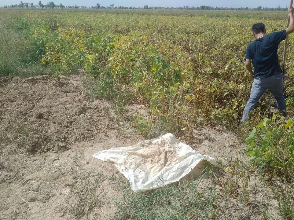 豪门国际·(中国游)官方网站