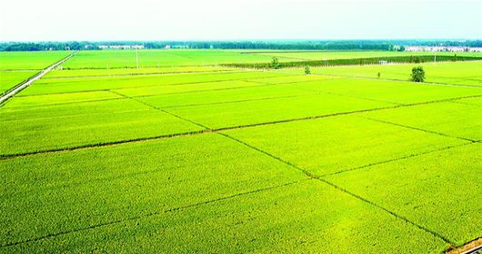 豪门国际·(中国游)官方网站