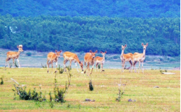 豪门国际·(中国游)官方网站