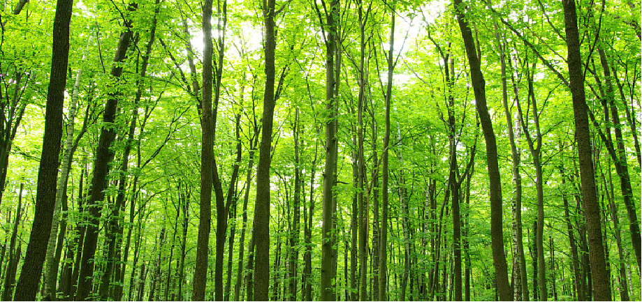 豪门国际·(中国游)官方网站